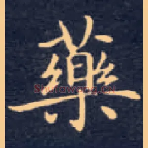 药