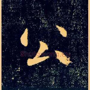 公