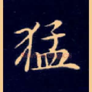 猛