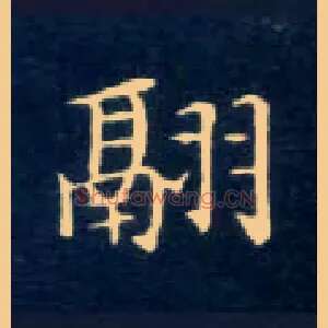 翮