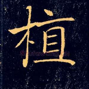 植