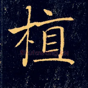 植