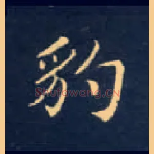 豹
