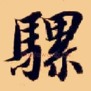 骡