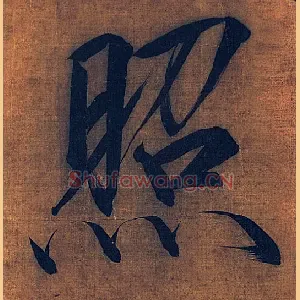 照