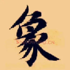 象