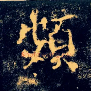 涉