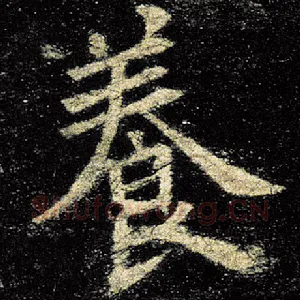 养