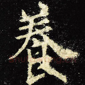 养