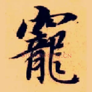宠