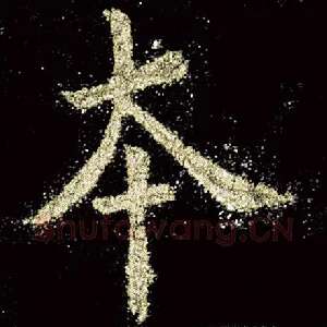 本