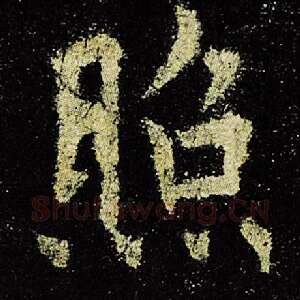 照
