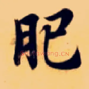 肥