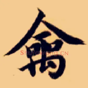 禽