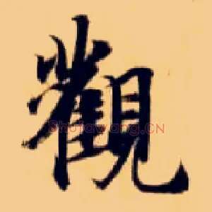 观