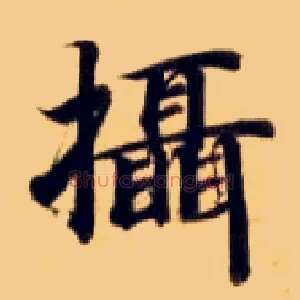 摄