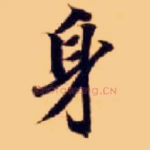 身