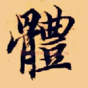 体
