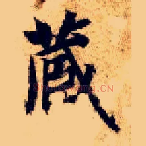 藏