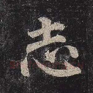 志