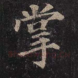 掌