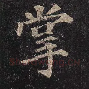 掌
