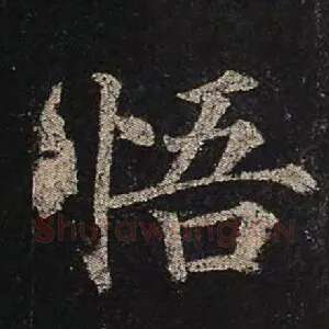 悟
