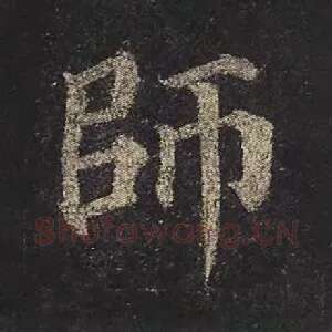 师