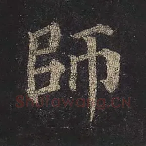 师