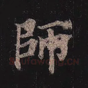 师