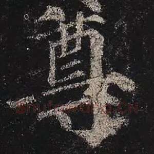 尊