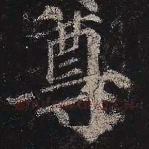尊