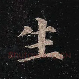 生