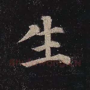 生
