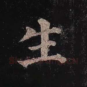生