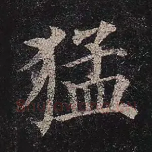 猛