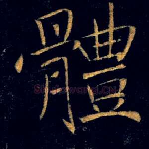 體
