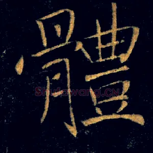 體