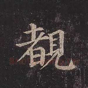 睹