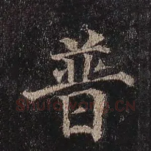 普