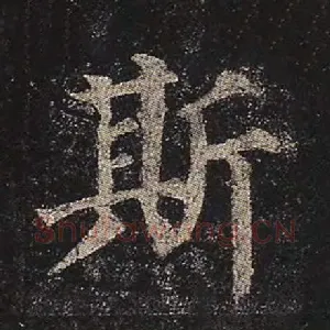 斯