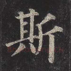 斯