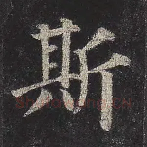 斯