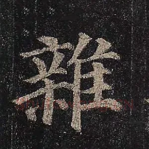 杂