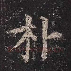 朴