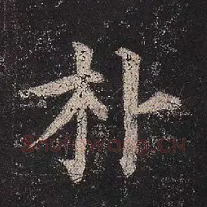 朴