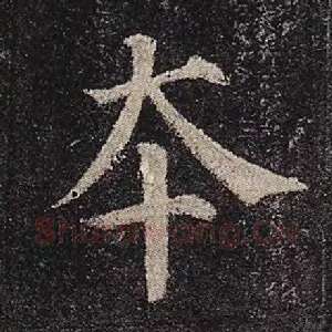 本