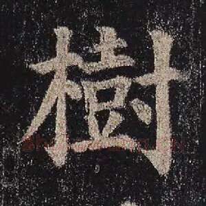 树