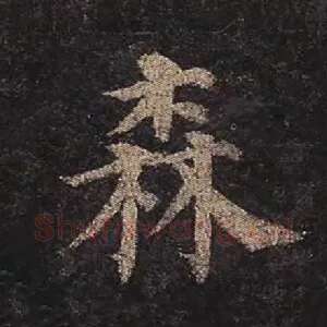 森