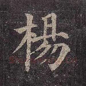 杨